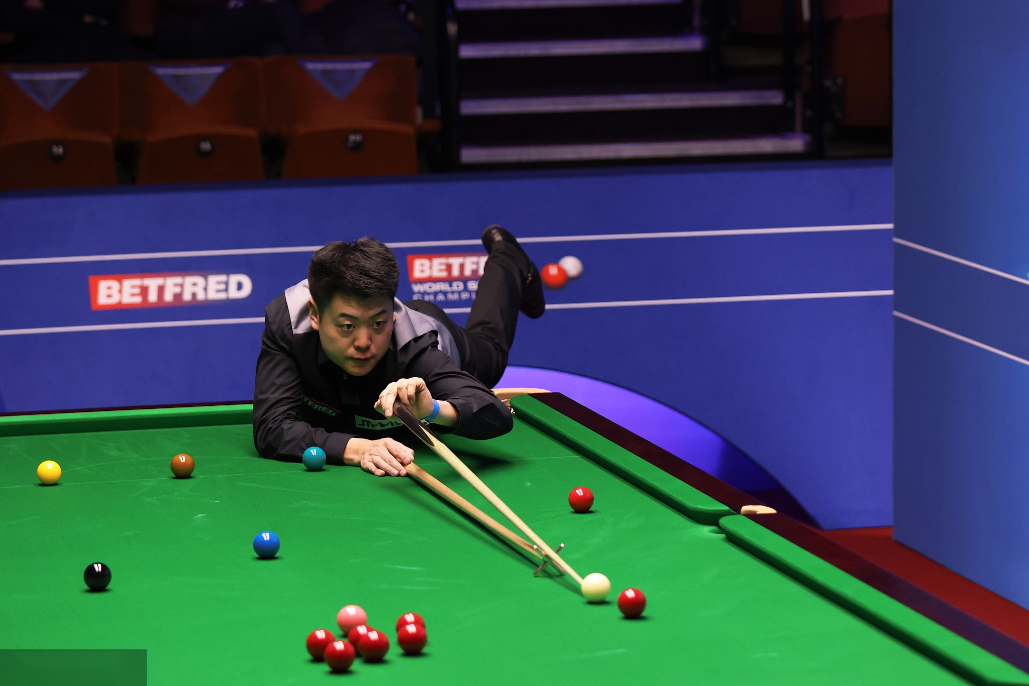 它融入了多 它融入了多