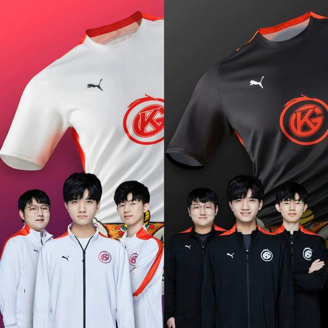 体系中充当 体系中充当