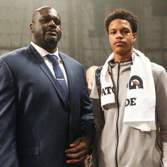 态加无伤打 态加无伤打