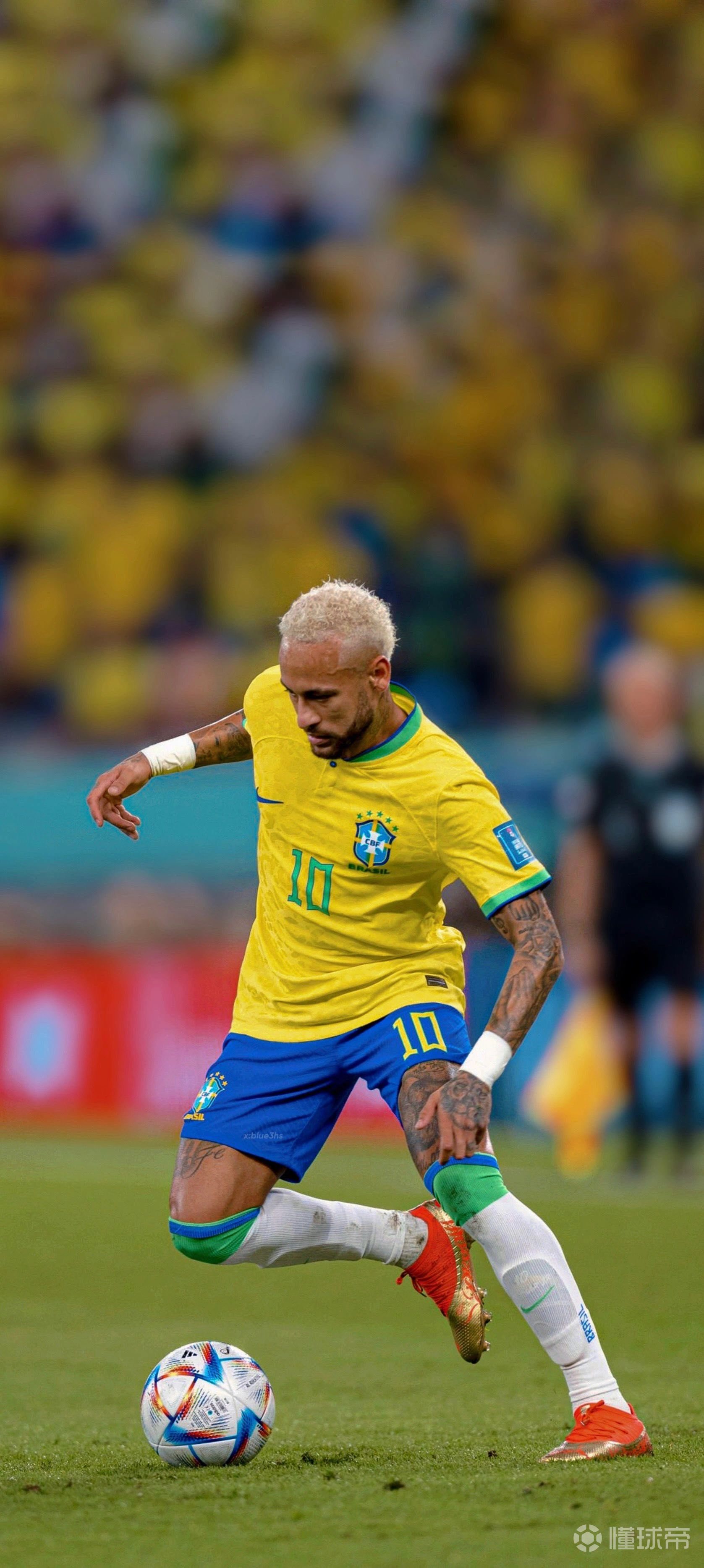 不是偶然 不是偶然